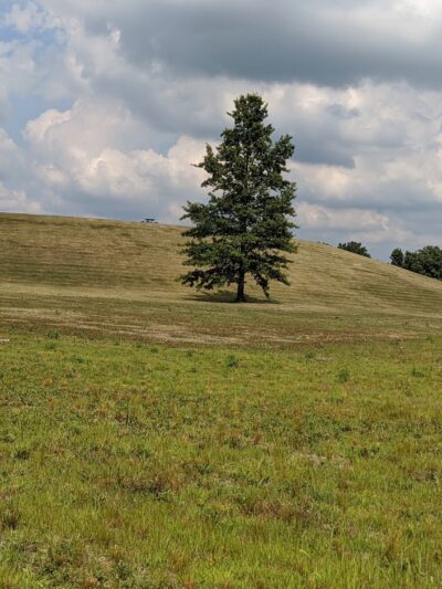 Archbold-Wilson Park - Ossian, IN