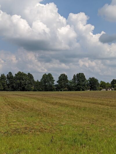 Archbold-Wilson Park - Ossian, IN