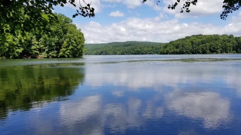 Kitchawan Preserve - Ossining, NY