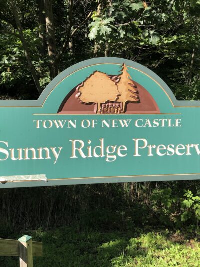 Sunny Ridge Preserve - Ossining, NY