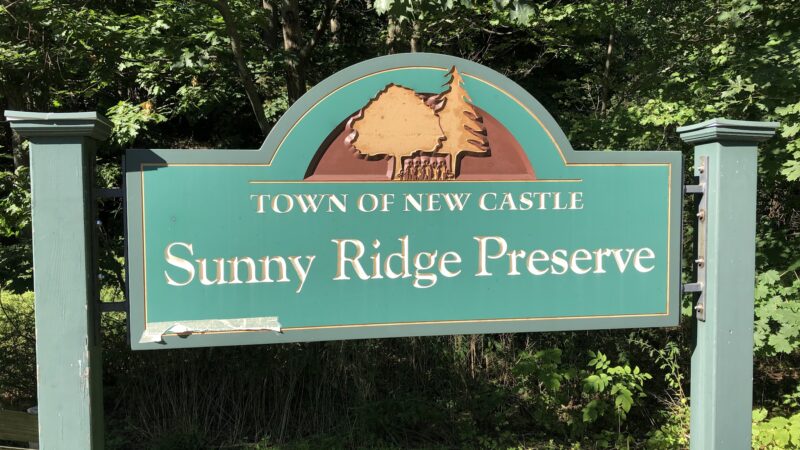 Sunny Ridge Preserve - Ossining, NY