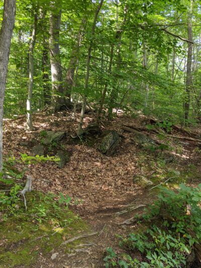Sunny Ridge Preserve - Ossining, NY