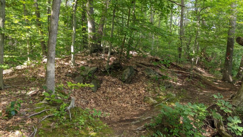 Sunny Ridge Preserve - Ossining, NY