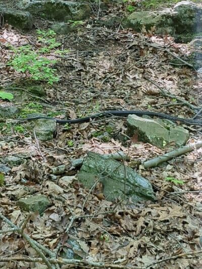 Sunny Ridge Preserve - Ossining, NY