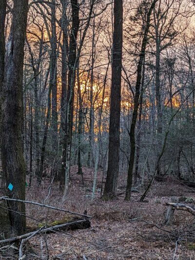 Sunny Ridge Preserve - Ossining, NY