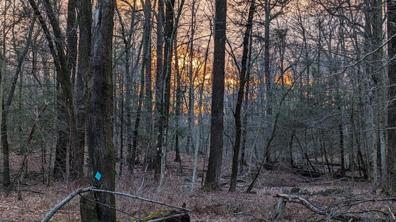 Sunny Ridge Preserve - Ossining, NY