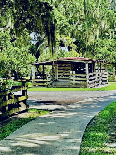 Beck Ranch Park - Osteen, FL