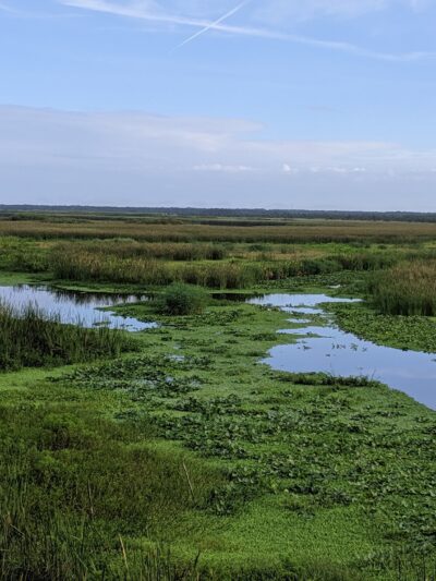 Lake Monroe Conservation Area - Osteen, FL