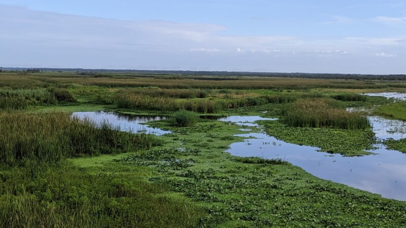 Lake Monroe Conservation Area - Osteen, FL