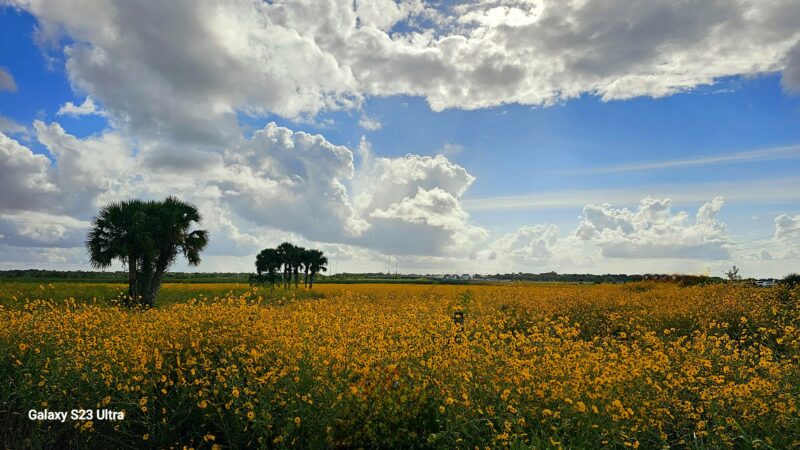 Lake Monroe Conservation Area - Osteen, FL