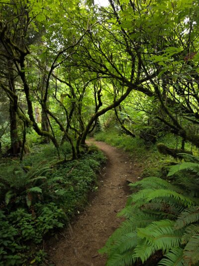 Cascade Head - Otis, OR