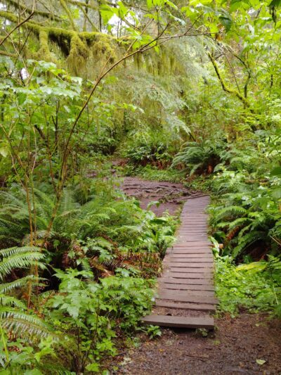 Cascade Head Preserve - Upper Trailhead - Otis, OR