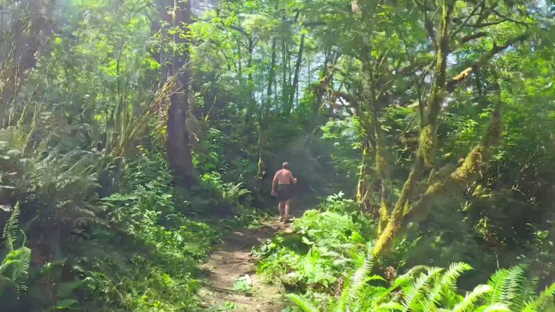 Cascade Head - Rainforest Trailhead - Otis, OR