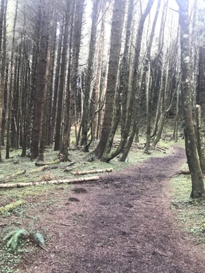 Cascade Head - Rainforest Trailhead - Otis, OR