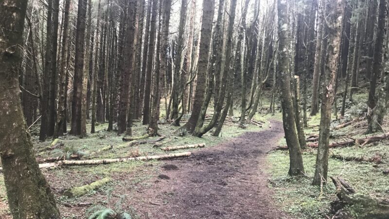 Cascade Head - Rainforest Trailhead - Otis, OR