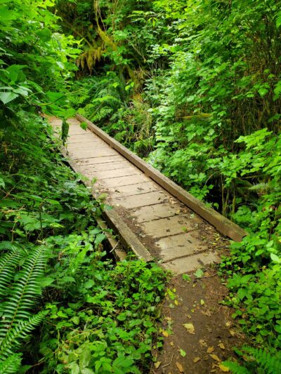 Cascade Head - Rainforest Trailhead - Otis, OR