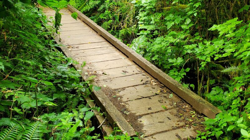 Cascade Head - Rainforest Trailhead - Otis, OR