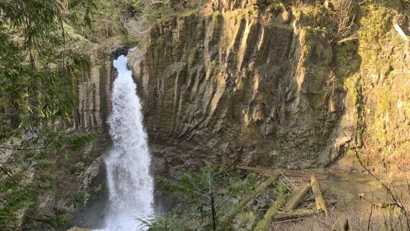 Drift Creek Falls Trail 1378 (Trail Head) - Otis, OR