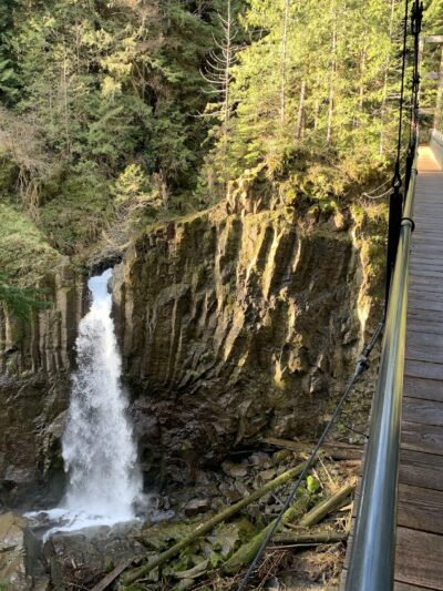 Drift Creek Falls Trail 1378 (Trail Head) - Otis, OR