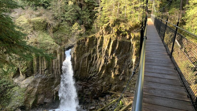 Drift Creek Falls Trail 1378 (Trail Head) - Otis, OR