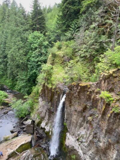 Drift Creek Falls Trail 1378 (Trail Head) - Otis, OR