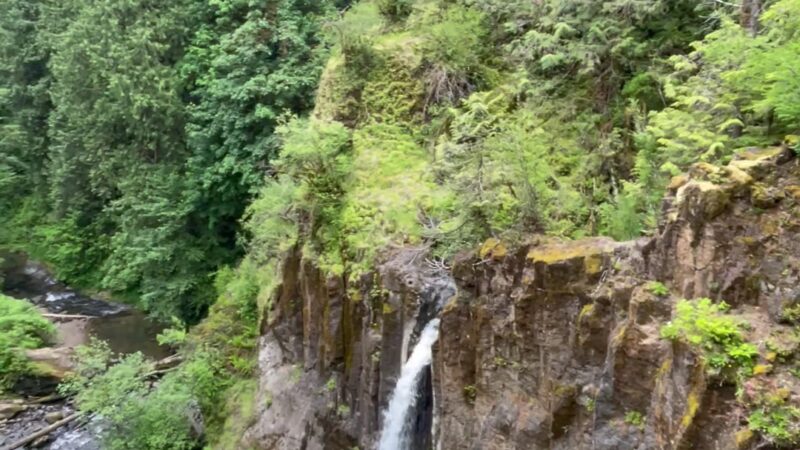 Drift Creek Falls Trail 1378 (Trail Head) - Otis, OR