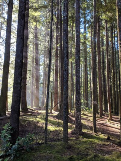 East Devil's Lake State Recreation Area - Otis, OR