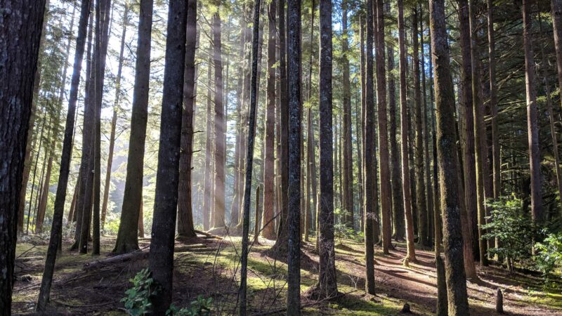 East Devil's Lake State Recreation Area - Otis, OR