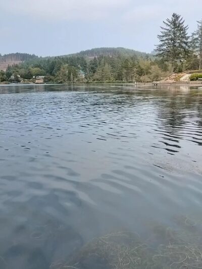 East Devil's Lake State Recreation Area - Otis, OR