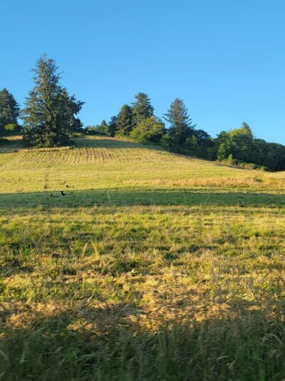 Knight Park - Otis, OR