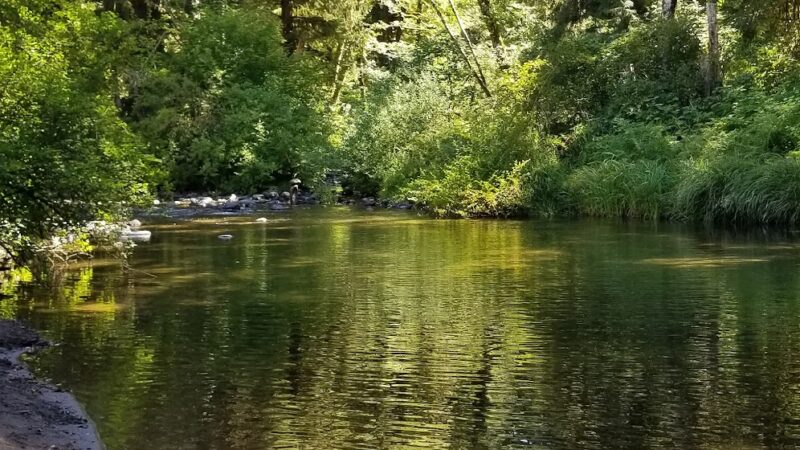 Van Duzer Park - Otis, OR