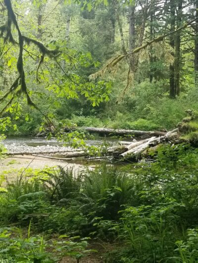 Van Duzer Park - Otis, OR
