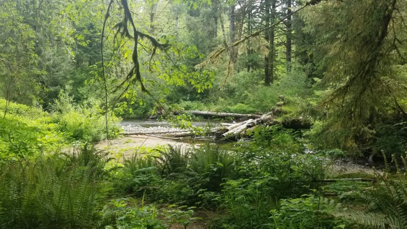 Van Duzer Park - Otis, OR