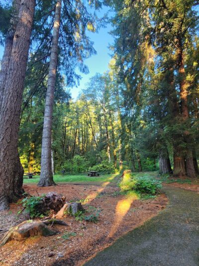 Van Duzer Park - Otis, OR