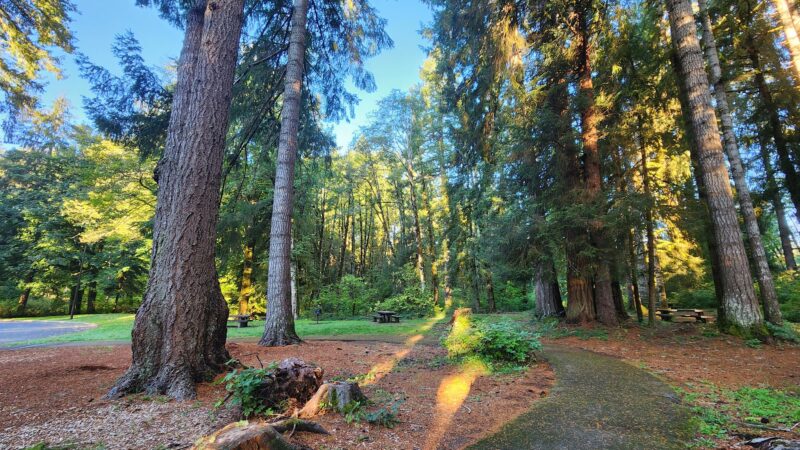 Van Duzer Park - Otis, OR