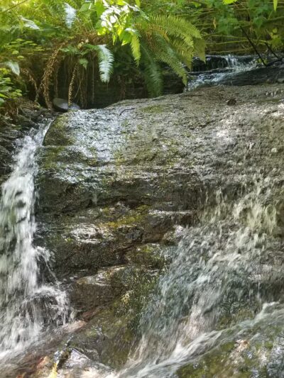 Van Duzer Park - Otis, OR
