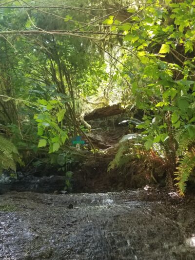 Van Duzer Park - Otis, OR