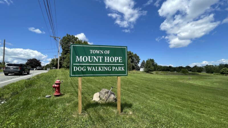 Mount Hope Dog Walking Park - Otisville, NY