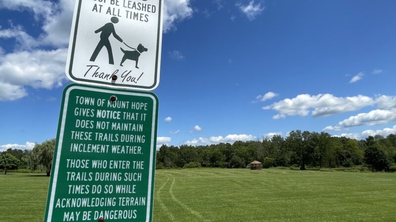 Mount Hope Dog Walking Park - Otisville, NY