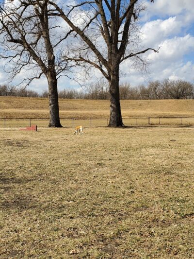 Bark Park - Ottawa, KS