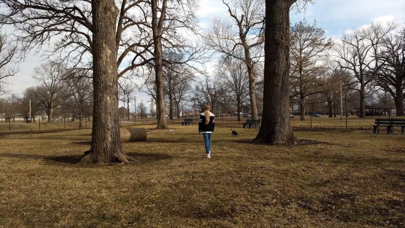 Bark Park - Ottawa, KS