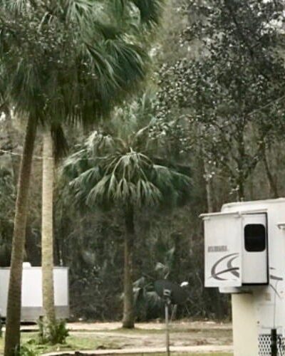 Shady Oaks Campground - Otter Creek, FL