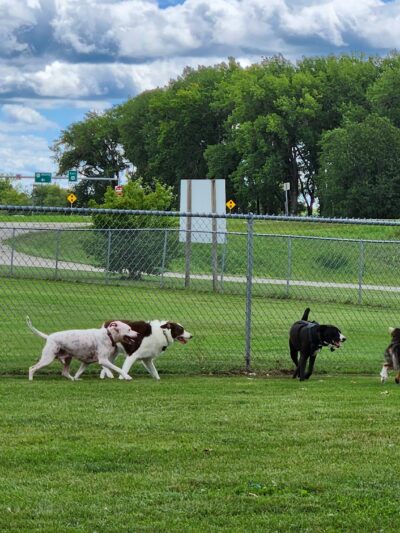 Dog Park - Ottumwa, IA