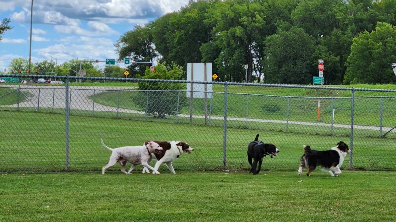 Dog Park - Ottumwa, IA