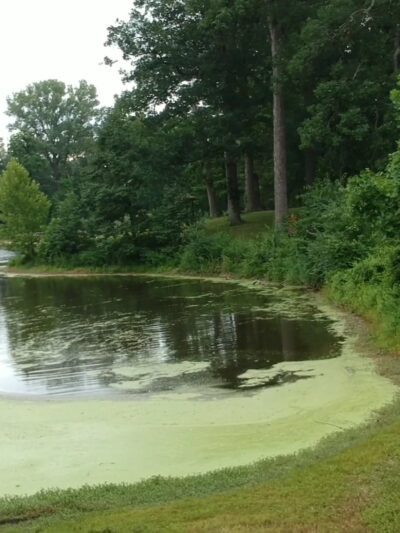 Wild Acres Park - Overland, MO