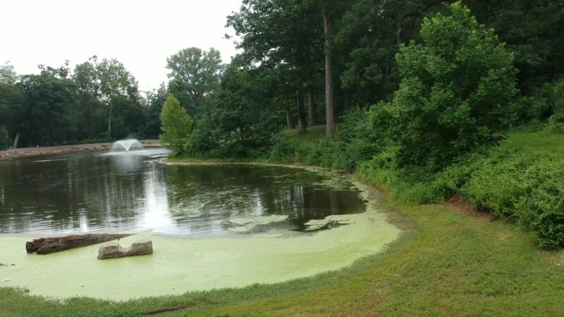 Wild Acres Park - Overland, MO