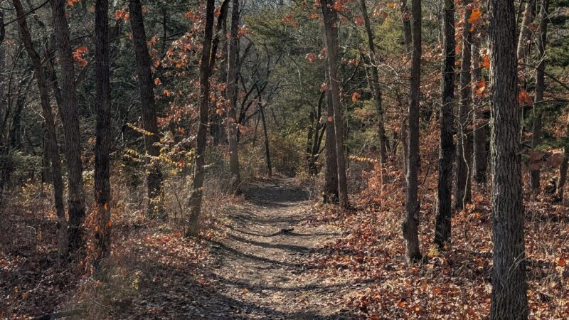 The Backroads - Overland Park, KS