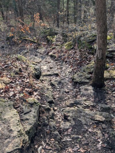 The Backroads - Overland Park, KS