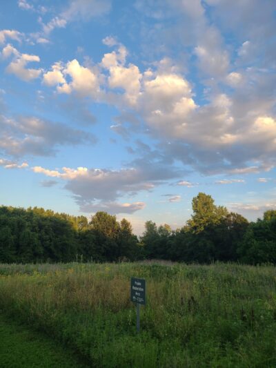 Thomas S. Stoll Memorial Park - Overland Park, KS