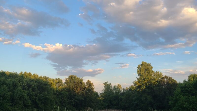 Thomas S. Stoll Memorial Park - Overland Park, KS